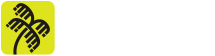 Tempest Logo